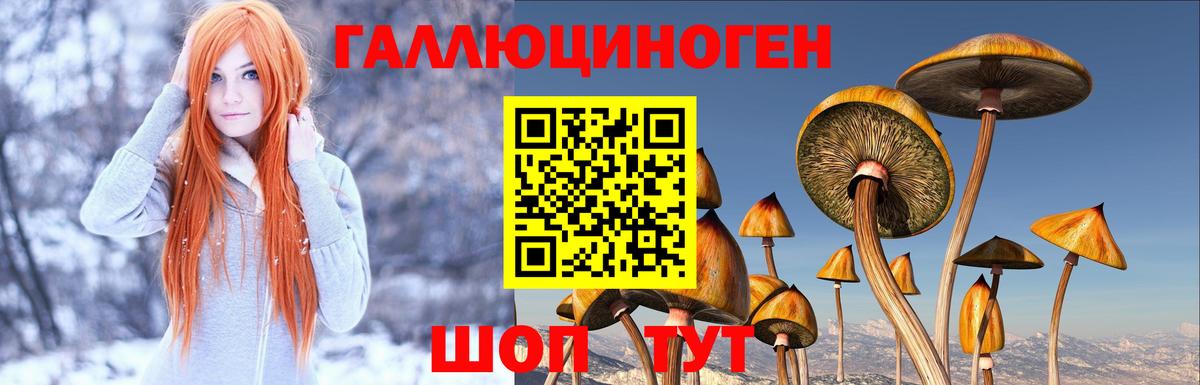 Псилоцибиновые грибы Cubensis  Вход с VPN  Галлюциногенные грибы мицелий  Кореновск 